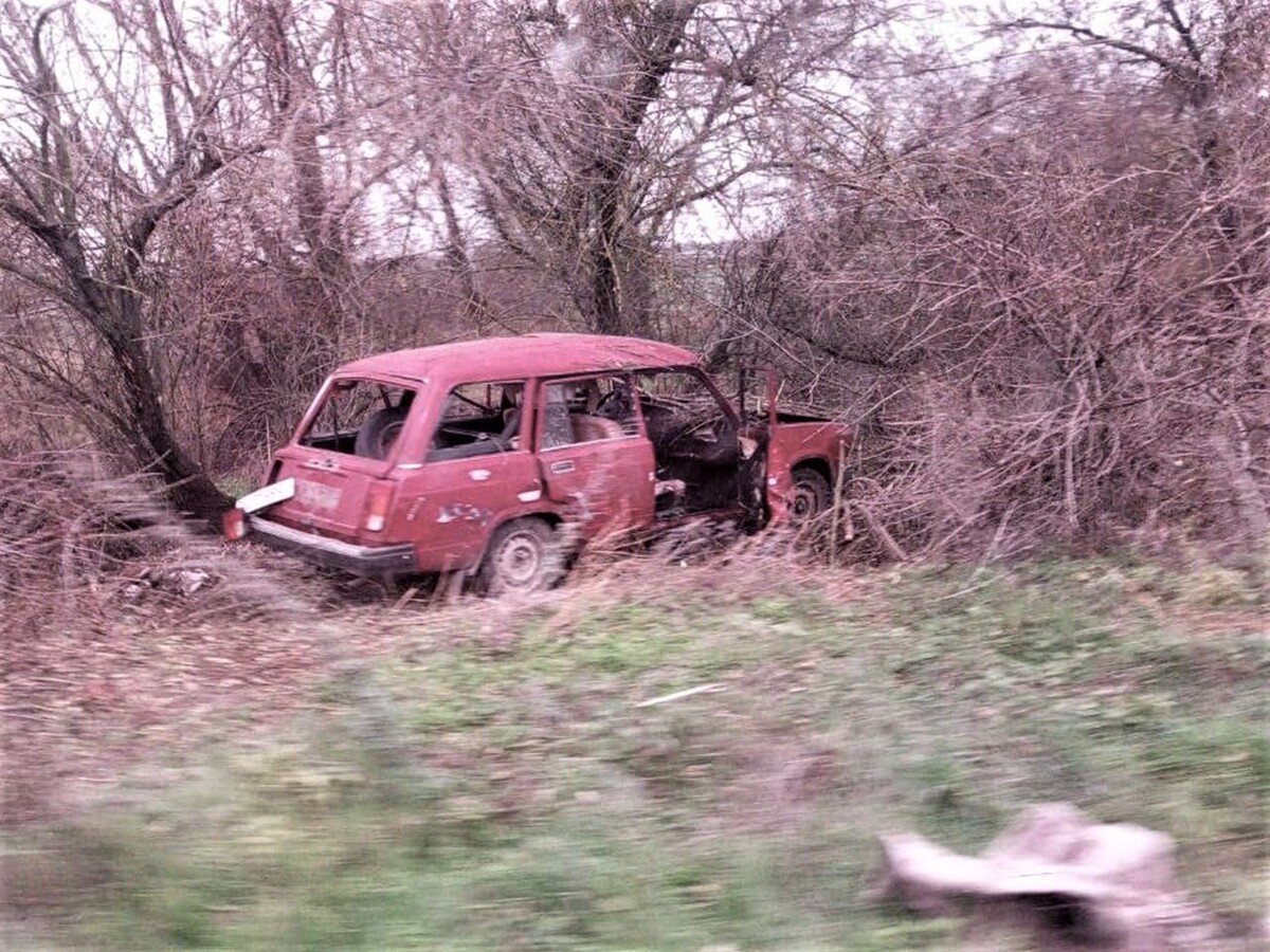     / Источник: © Официальный Telegram-канал губернатора Херсонской области Владимира Сальдо