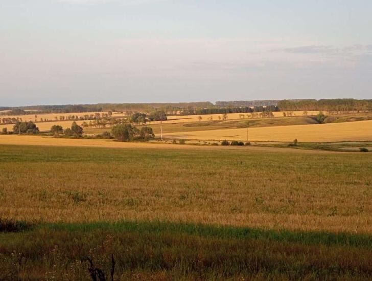    Фото: Пруфы.РФ