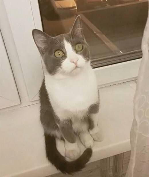    Источник фото: