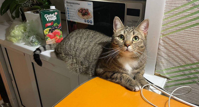    Автор фото - Анна Ефимова