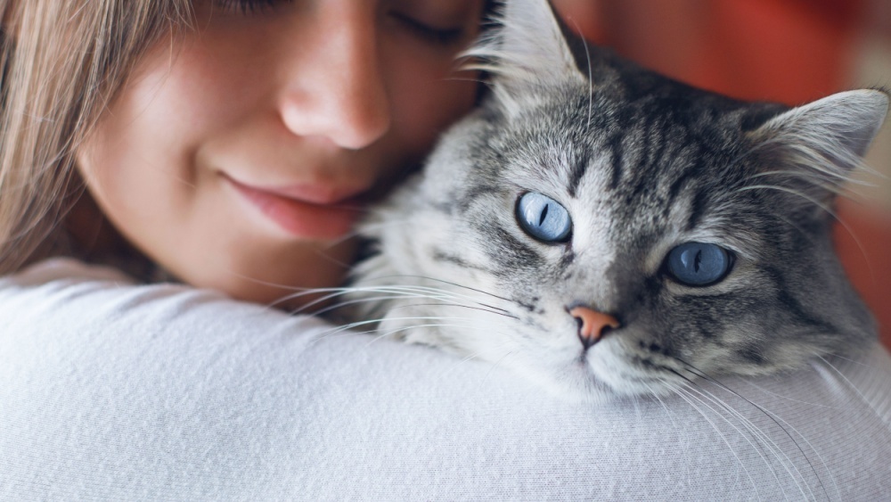     Фото: KDdesign_photo_video/Shutterstock/FOTODOM