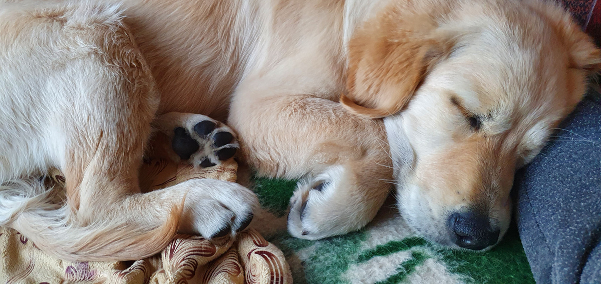 Это ритуал связи