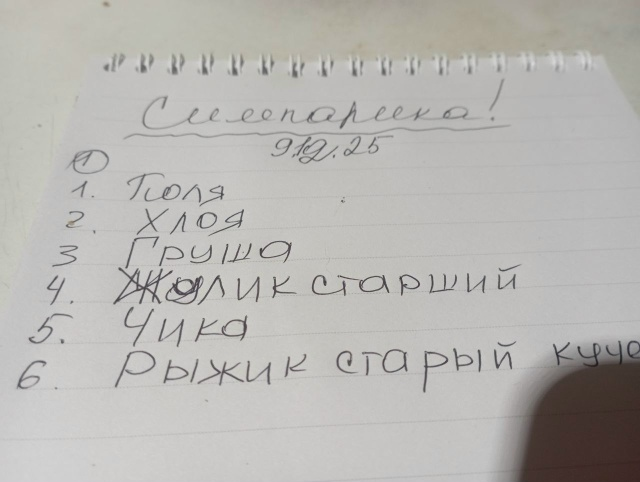 Те, кого смогла бработать, благодаря вашей помощи