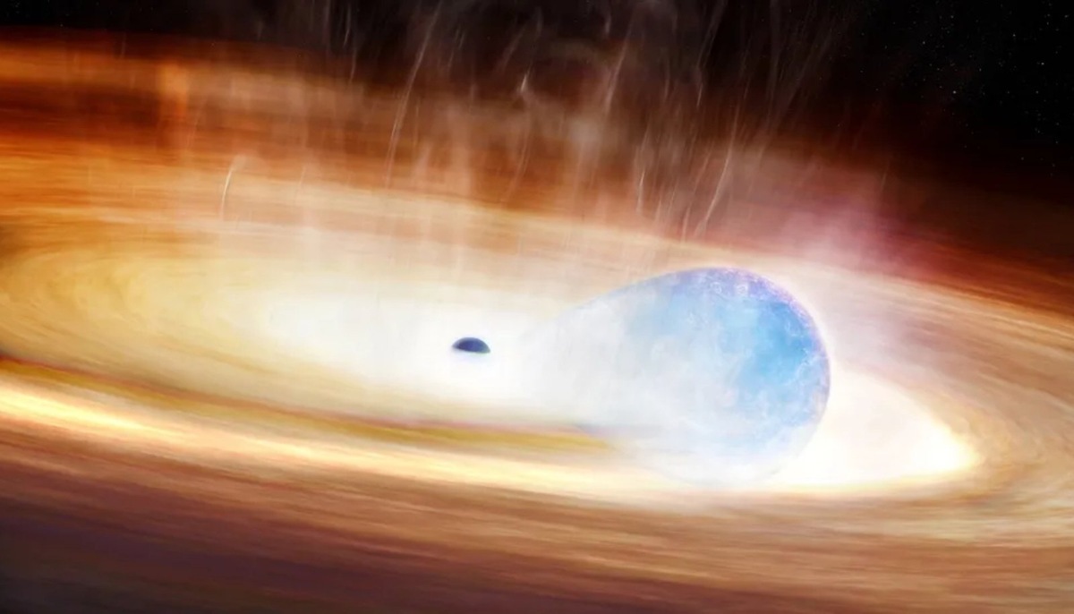    Приливное разрушение звезды черной дырой приводит к появлению яркой вспышки рентгеновского излучения