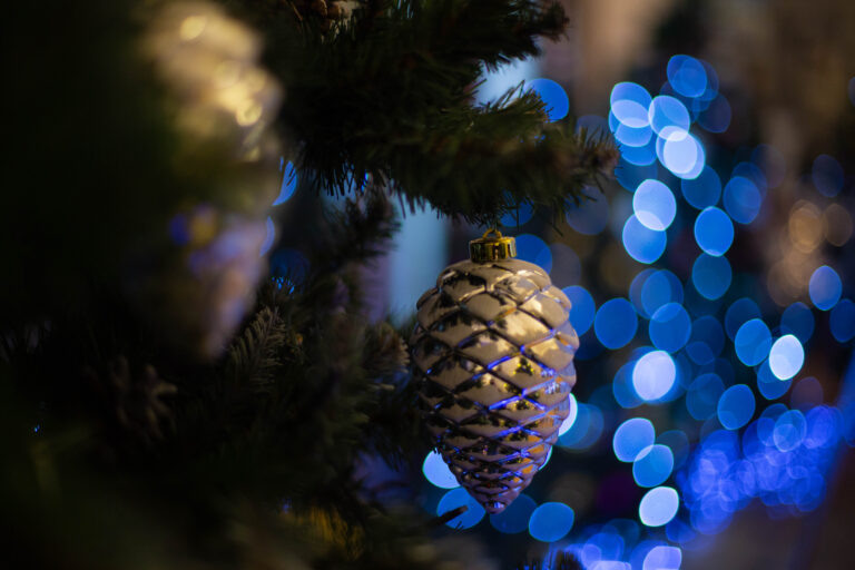    Фото: Общественная Служба Новостей Мария Спиридонова