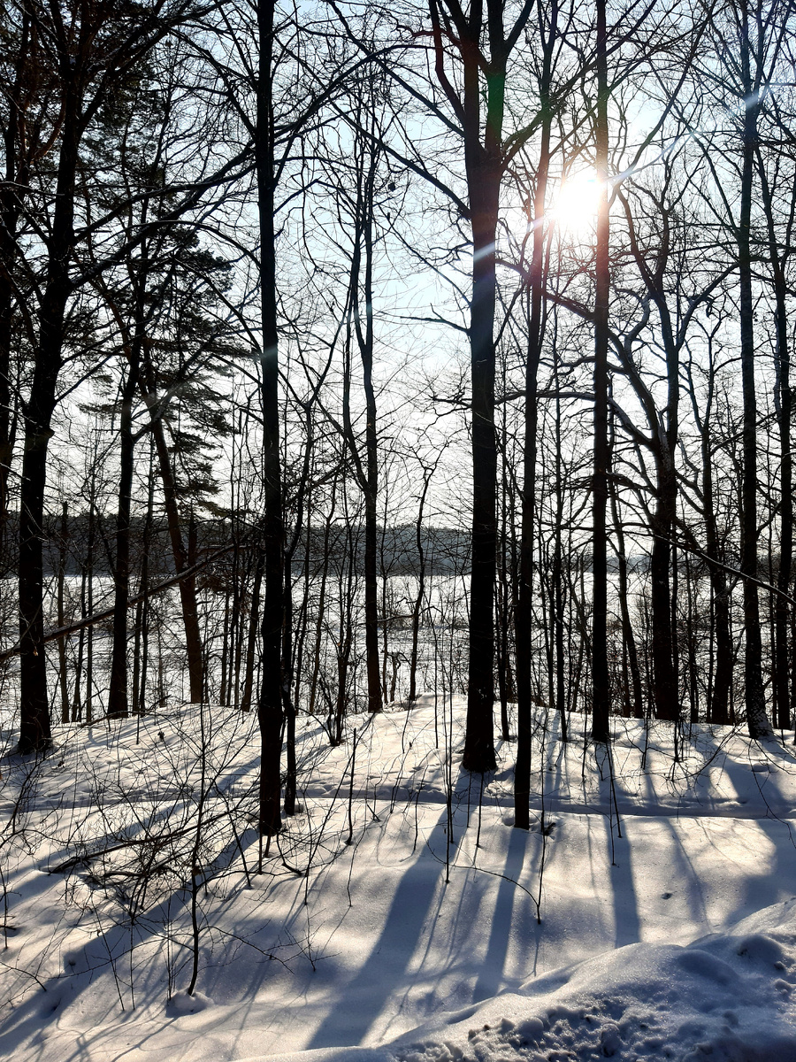 Музей-заповедник Архангельское. 