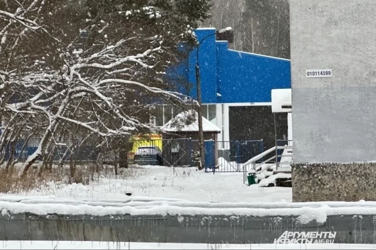    © Александр Тепикин / АиФ