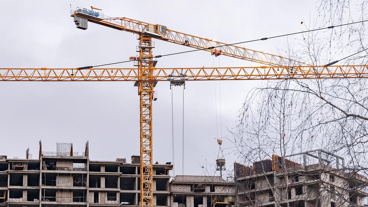    Фото: Oleg Spiridonov/globallookpress.com