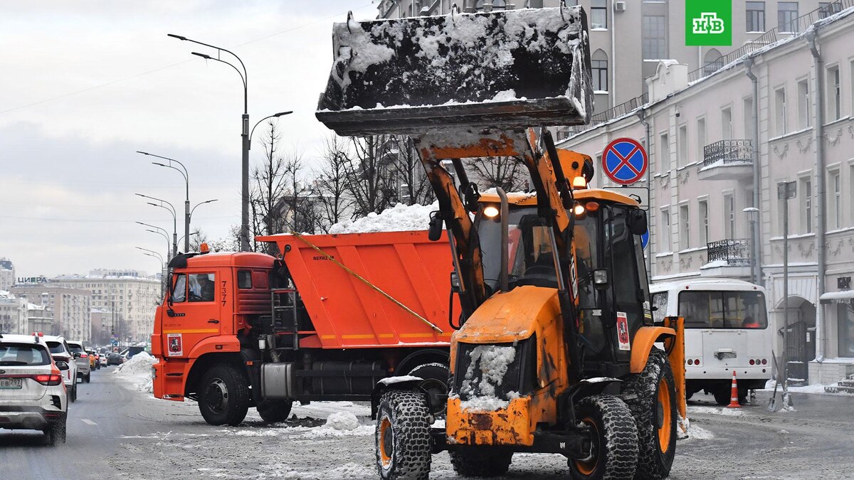    Фото: РИА Новости © 2025, Наталья Селиверстова