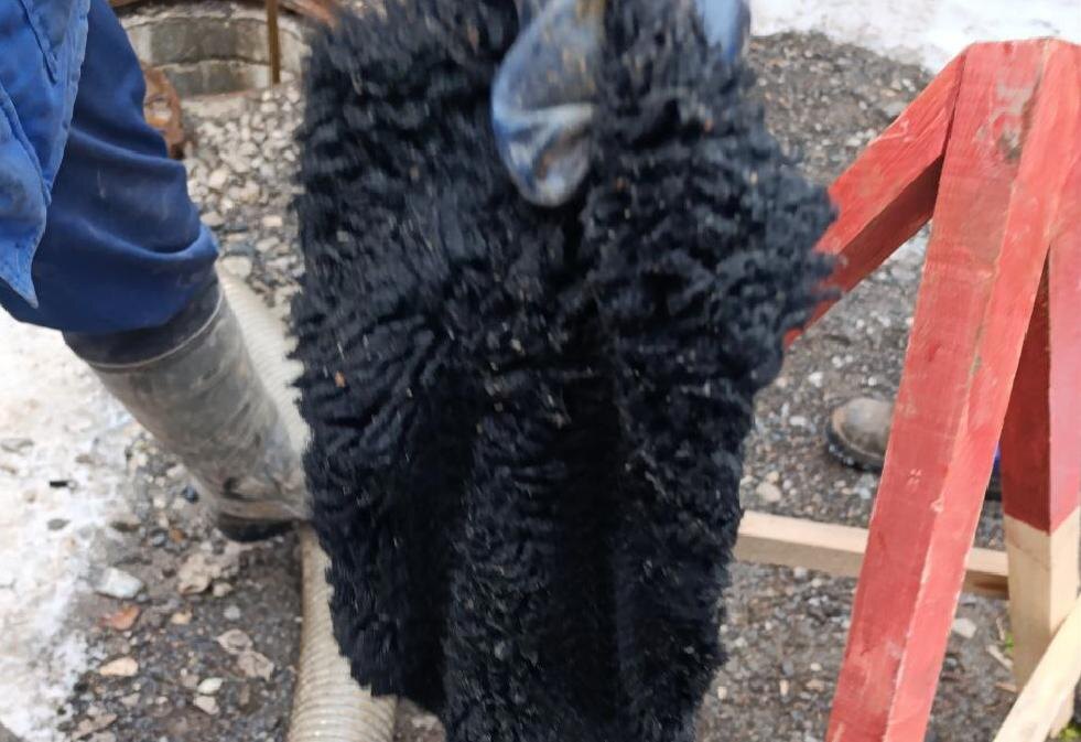    © пресс-служба "Новогор"