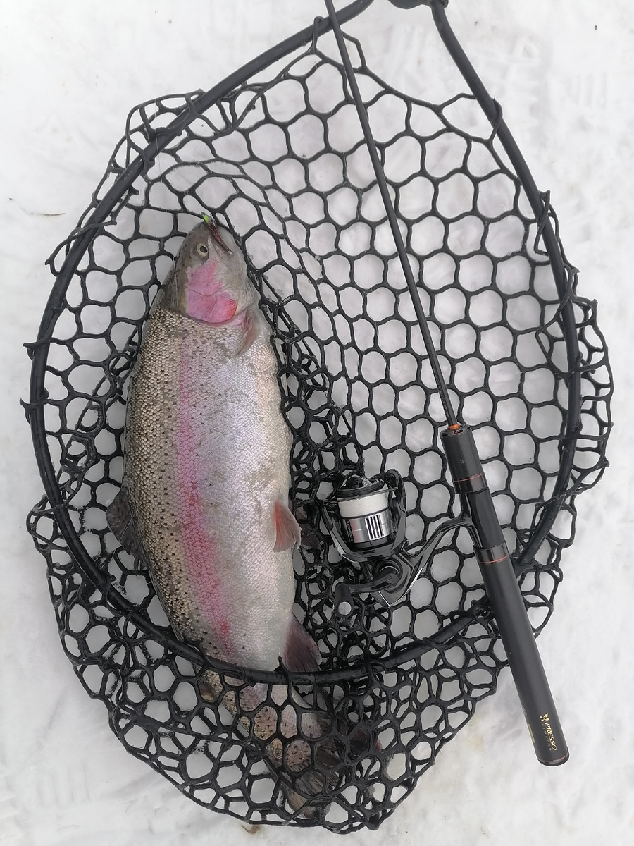 Эта статья не могла выйти, пока на моих измерительных стендах не побывала Daiwa Presso Ltd AGS 61L-S - представитель действительно высокотехнологичной линейки спиннингов от Daiwa, в которой воплощено все, о чем мной писалось ранее, и всё направлено на создание спиннинга с идеальной "чуйкой". Статья была написана, но требовала подтверждения на подобном образце. Сначала снял со спиннинга его РЧХ, и только потом - поехал на водоем, чтобы обрыбить его и проверить измерения личными ощущениями. 