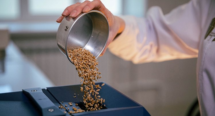    Фото: Пресс-служба ФГБУ «ЦОК АПК» по Алтайскому, Красноярскому краям, Новосибирской и Томской областям