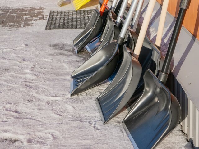    Фото: 123RF.com/oksanamedvedeva