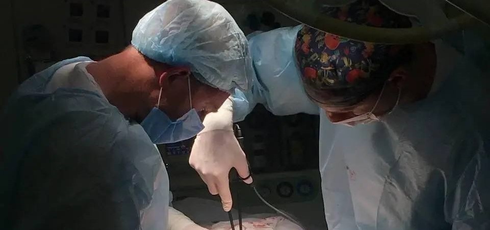    Артур Парфенчиков / тг