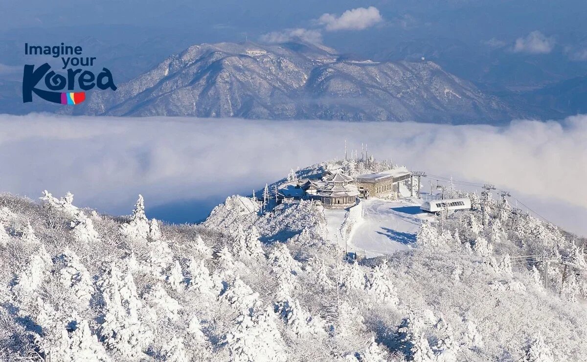    В Южную Корею зимой за 110 тысяч рублей: подборка интересных туров