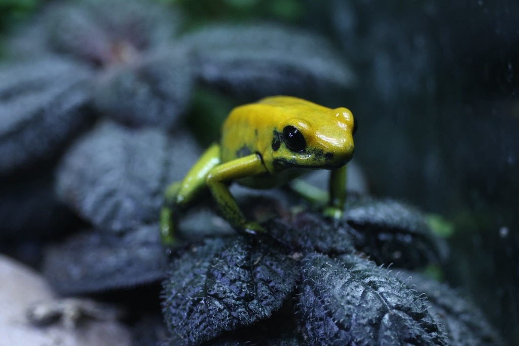    Фото © Владимир Андреев / Абзац