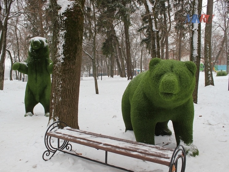     Фото: «МК в Калуге».