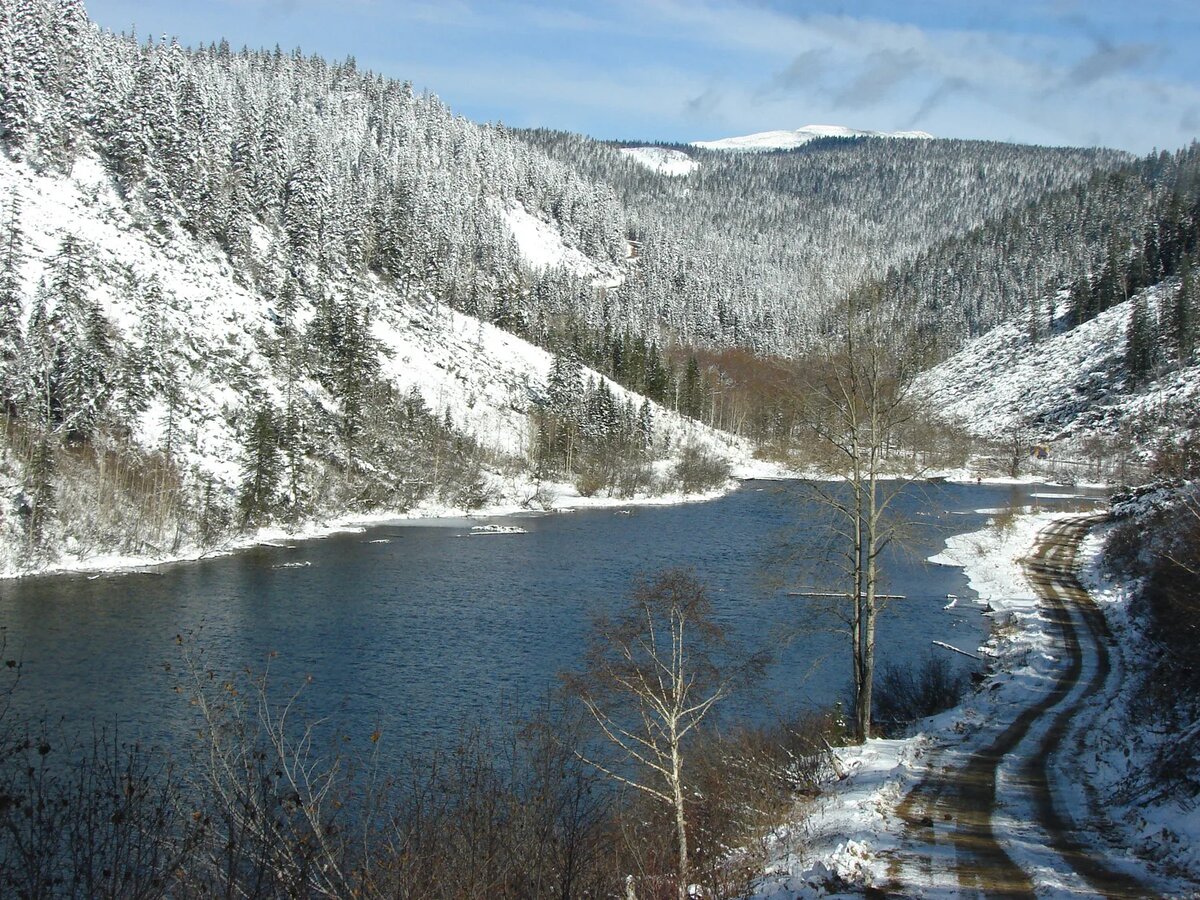 Фото из открытых источников