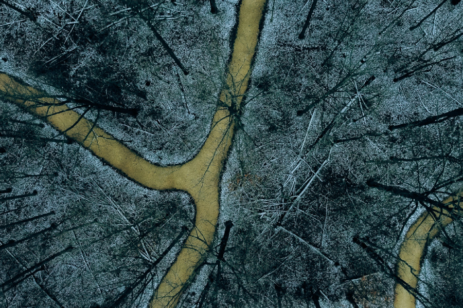 Фото: Steph Greene / Unsplsh.com