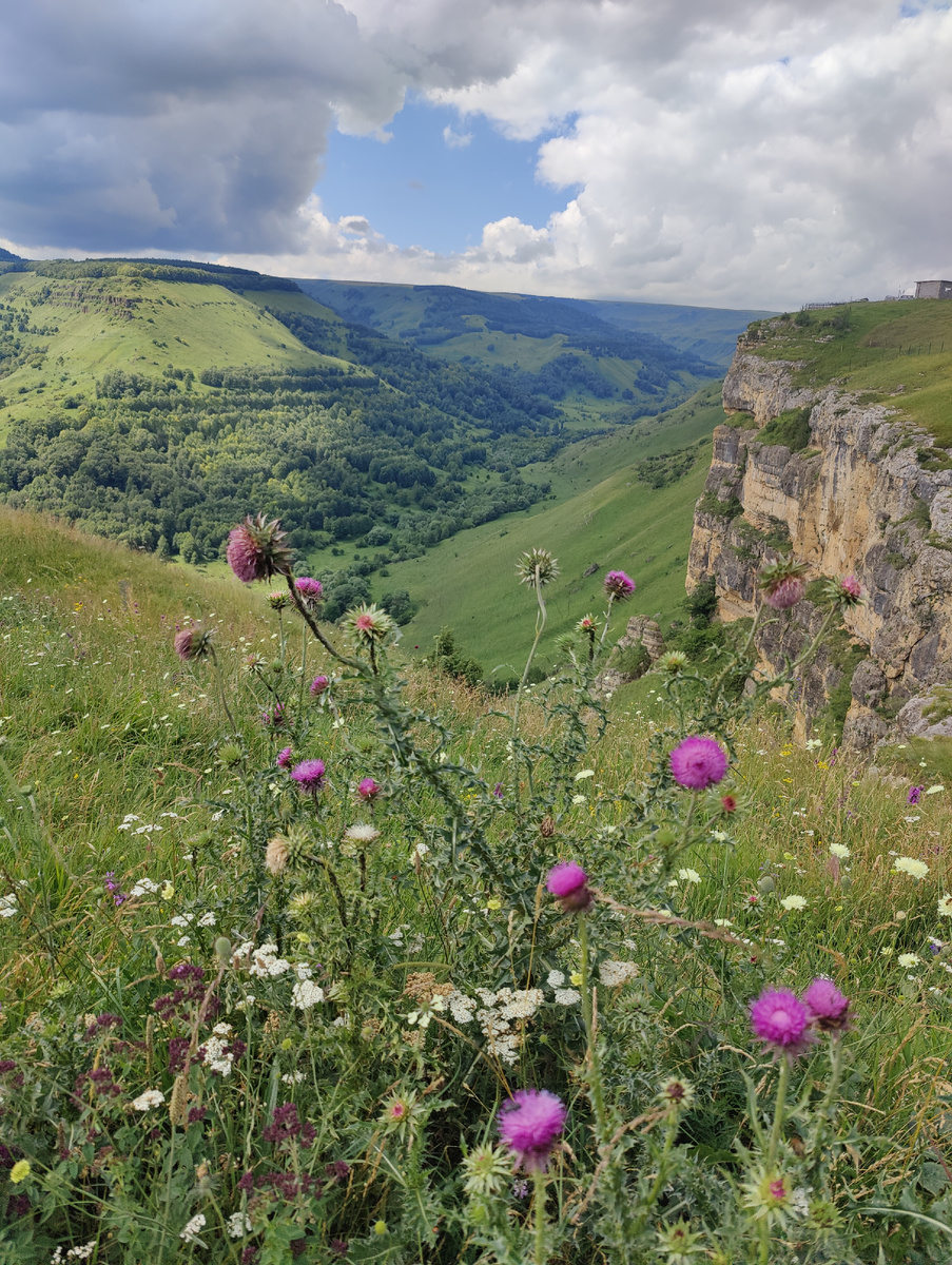 Березовское ущелье Кисловодска. Фото автора