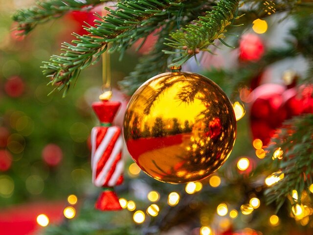    Фото: портал мэра и правительства Москвы/Дарья Мясина