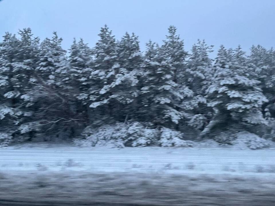    Фото: "Городские вести"
