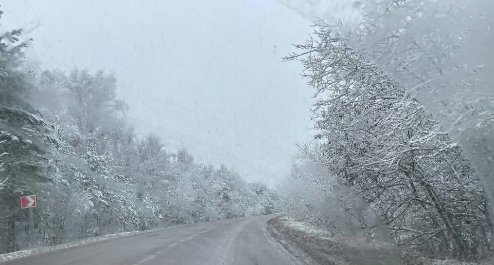    Фото: "Городские вести"