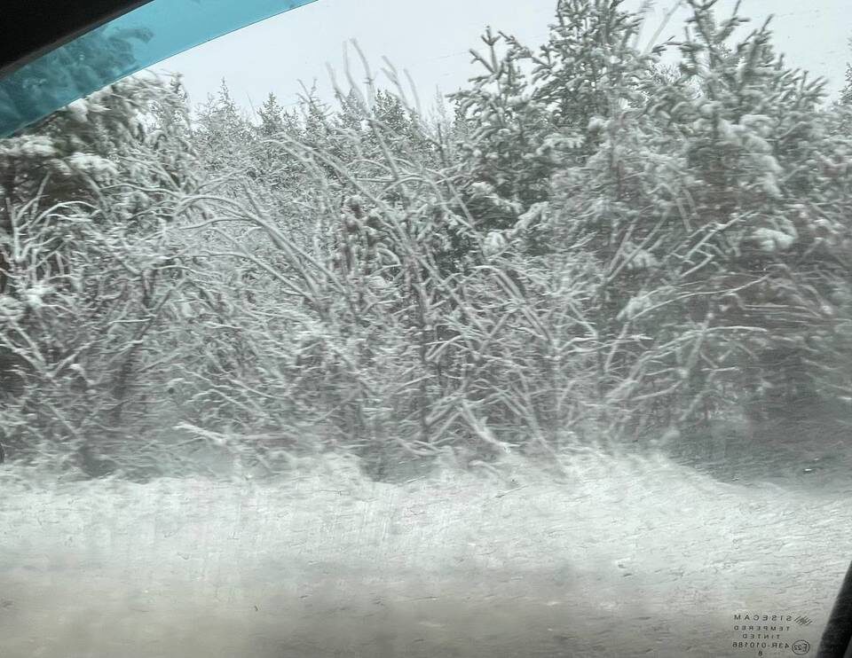    Фото: "Городские вести"