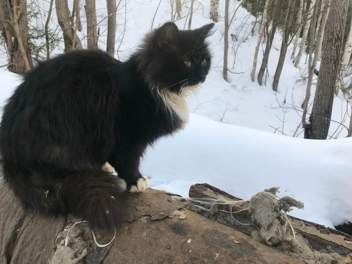 Трубы теплотрассы стали для Тимоши вторым домом