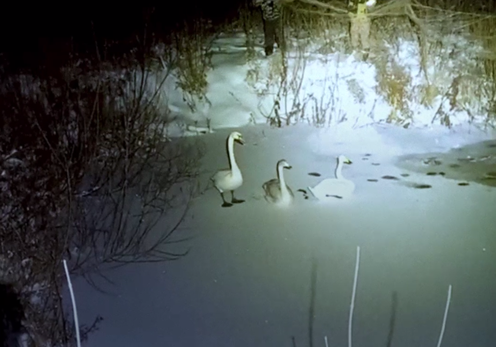     Скриншот из видео: Департамент информационной политики Свердловской области