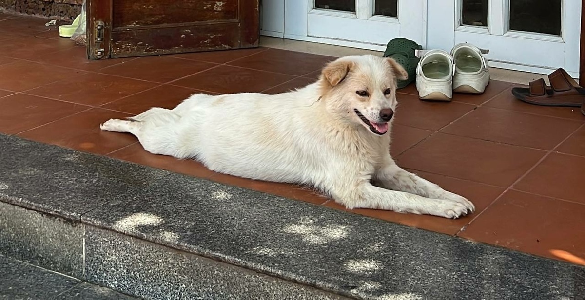 Фото: Neva.Today/Дарья Вовк