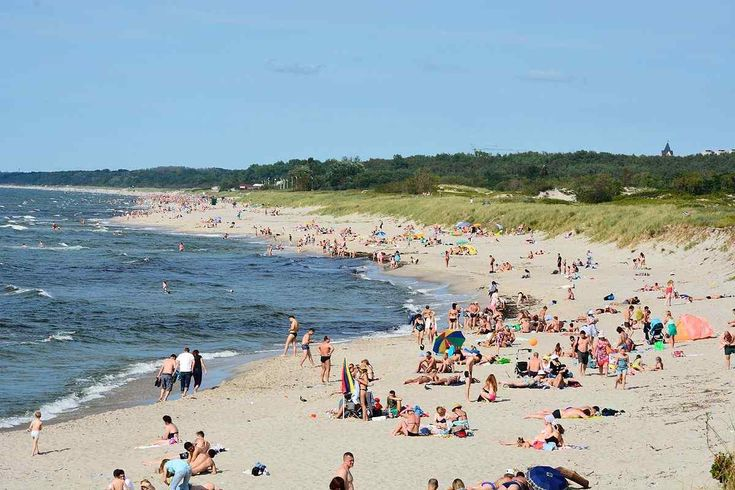 Фото из Яндекса. Спасибо автору. 