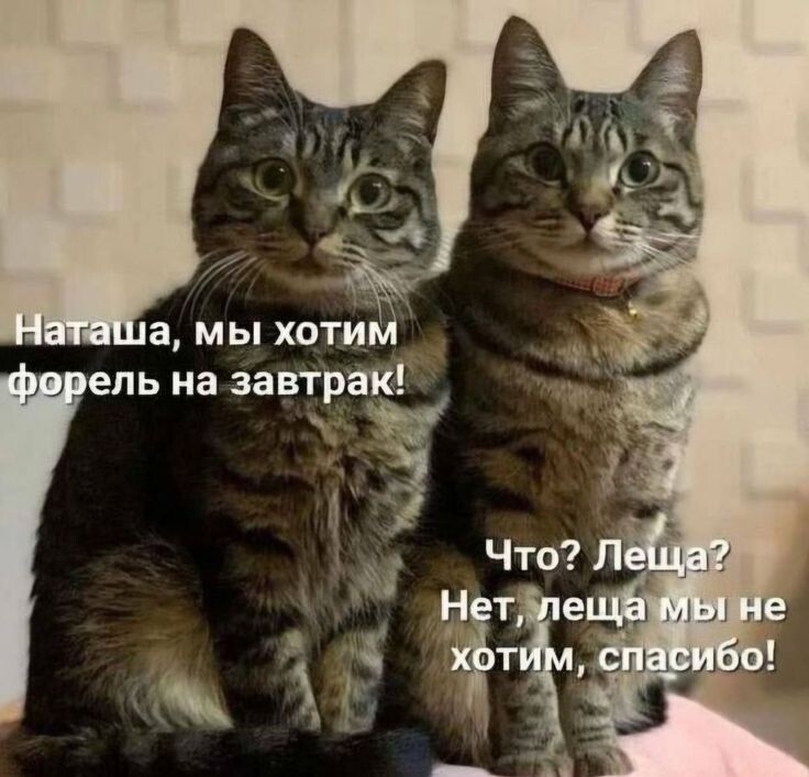 фото из интернета