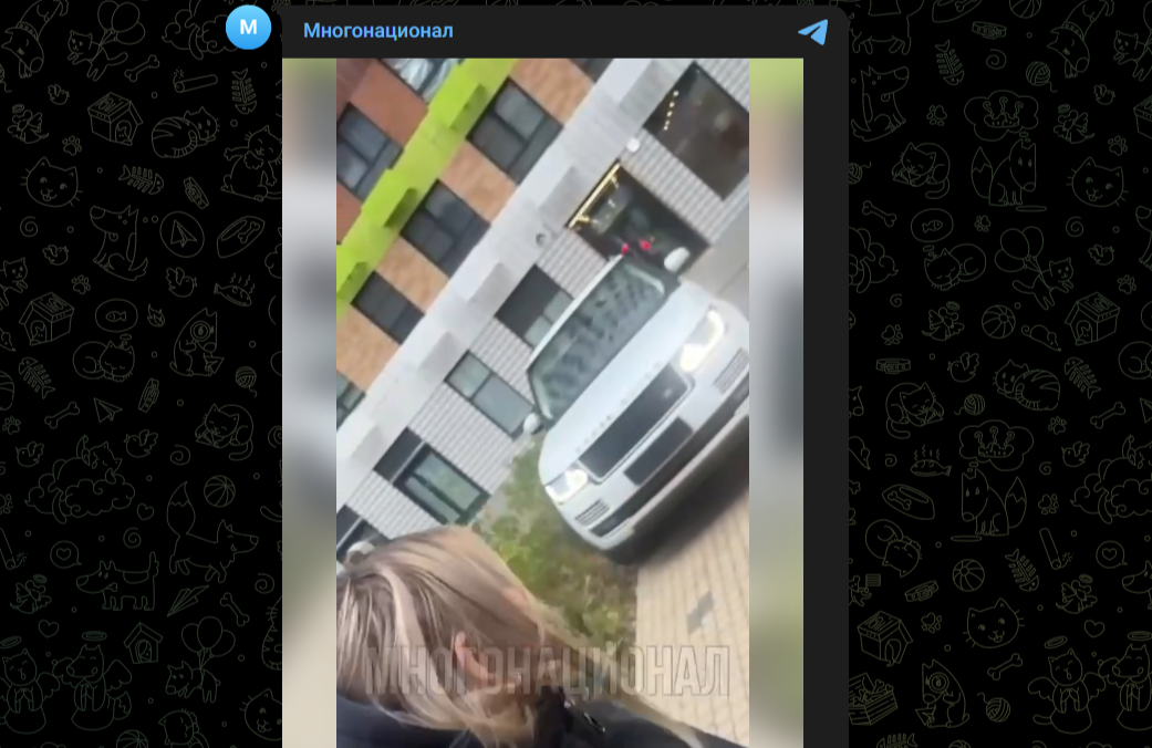 Фото: Telegram-канал "Многонационал"