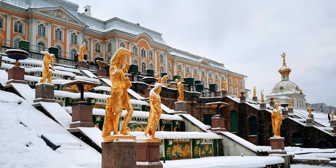 Деменция нас дома не застанет! Или как я веду культурную диверсию против старости