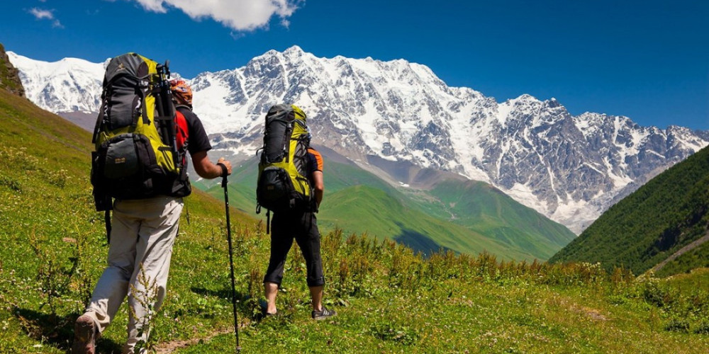 Источник: caravan-info.uz