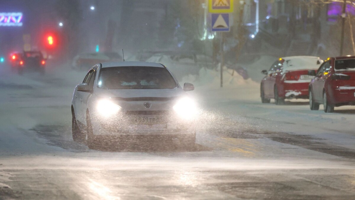    Фото: Андрей Ткачев/«Ямал-Медиа»