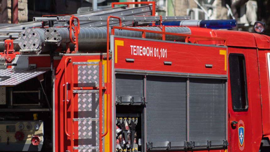    Фото: © РИА Новости