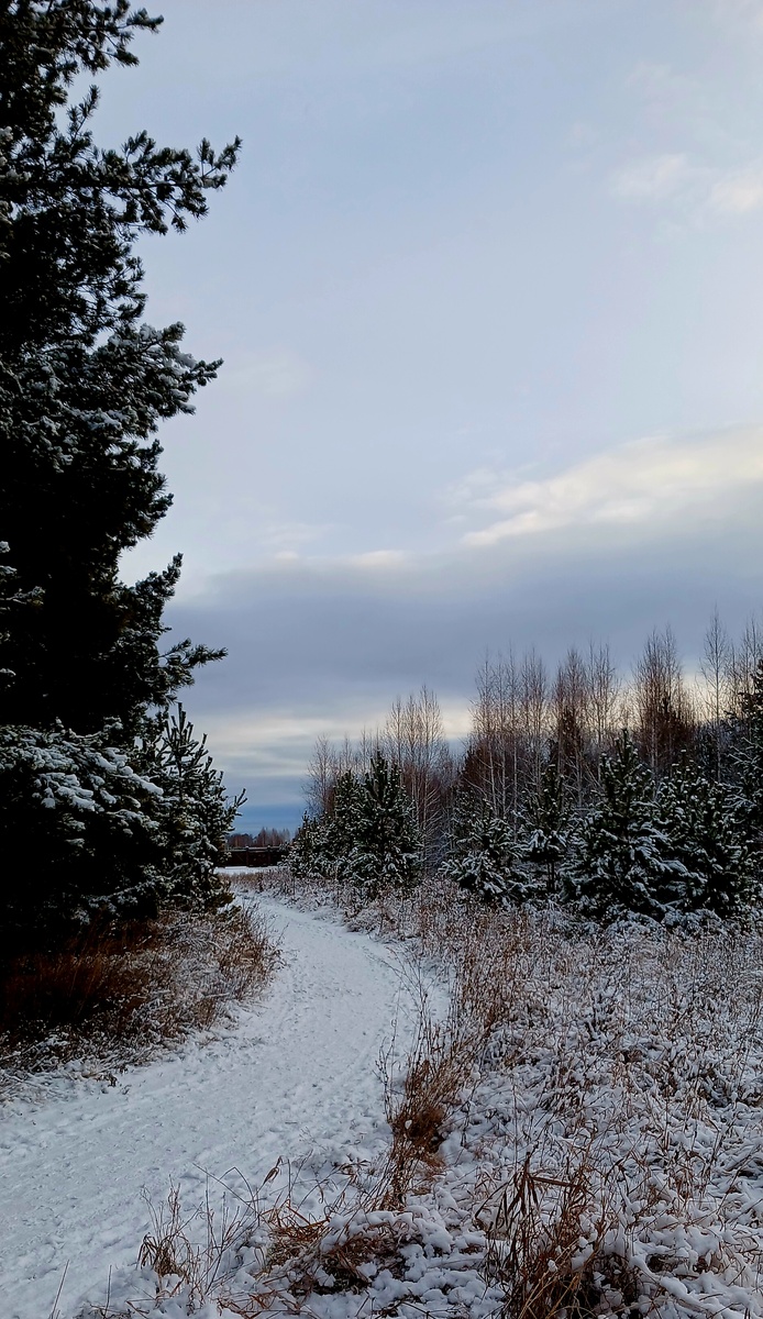 "Доброе утро, мир! Ты прекрасен!" Фото автора