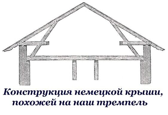     Источник: Фото предоставлено Светланой Кошарной