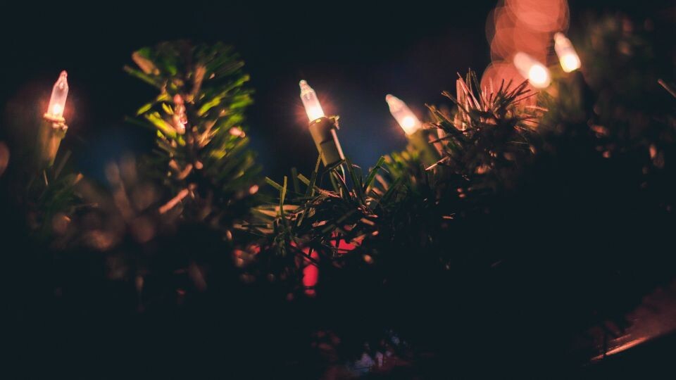    Гирлянда. Источник: unsplash.com