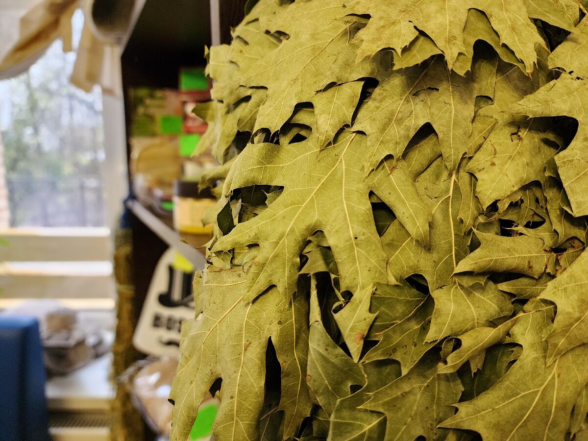     Фото: МедиаБанк Подмосковья/Артем Мишуков