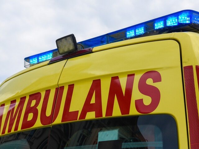    Фото: 123RF.com/picsperfect