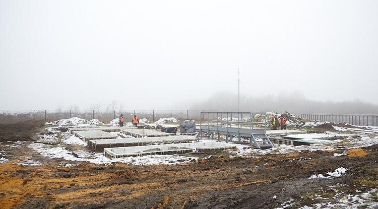 Фото: Елена Журавлёва