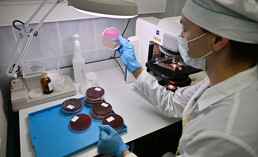    © Евгений Биятов/РИА Новости