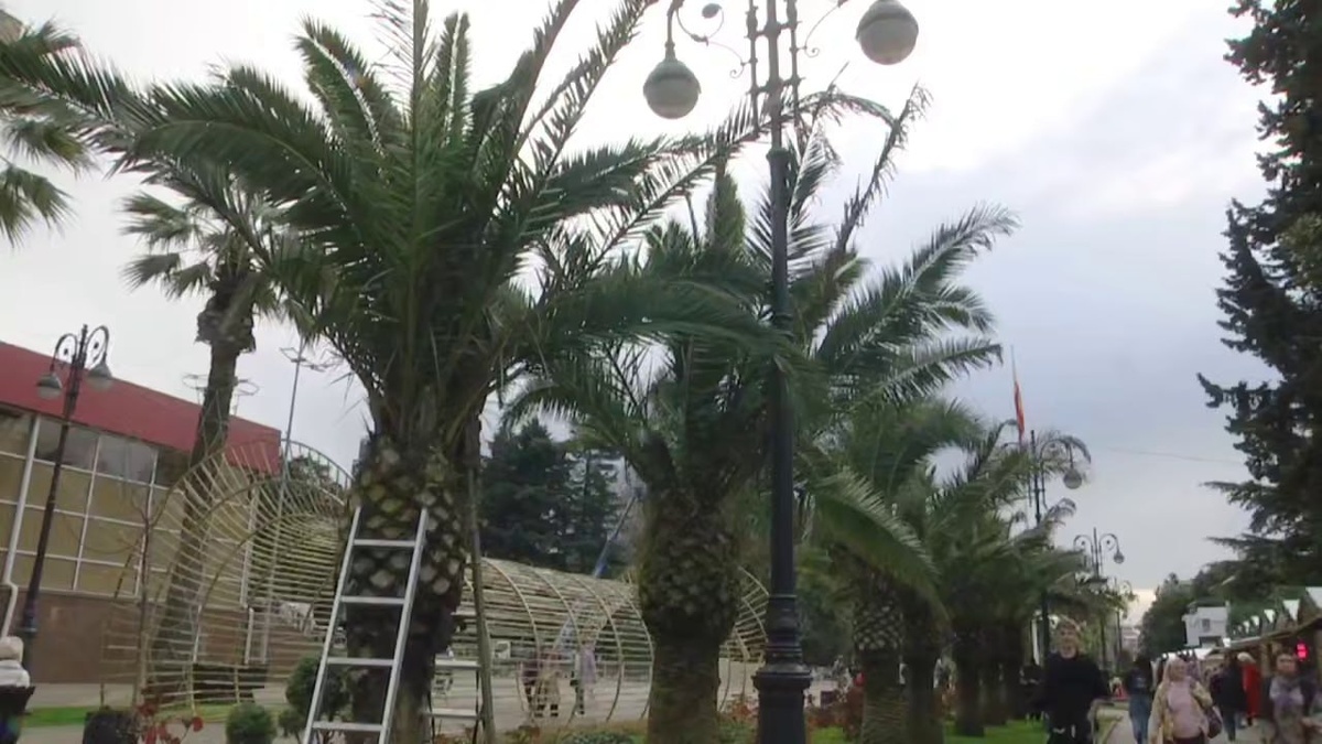    Фото t.me/officialsochi