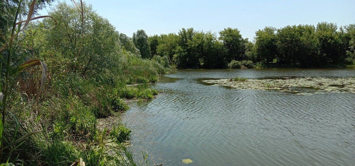    Фото: Минприроды Воронежской области