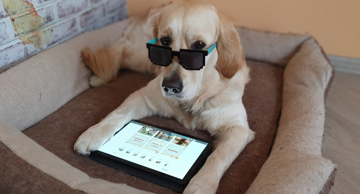 Погладь меня, пожалуйста