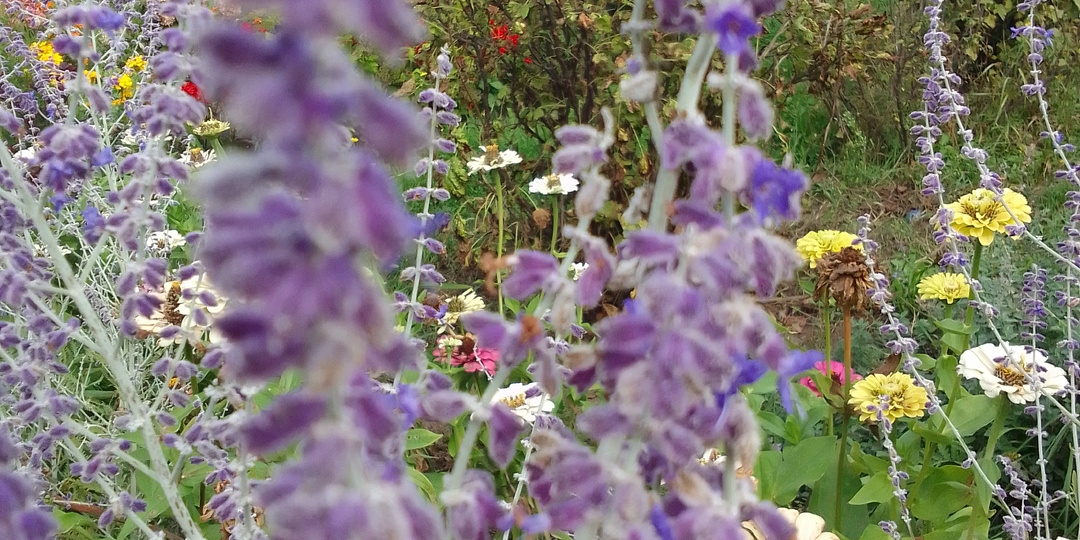 Мой случай  "эффекта обманутой долиной". Но, ведь, не сработал..