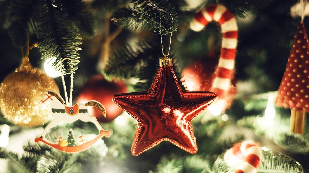    Фото: Shutterstock